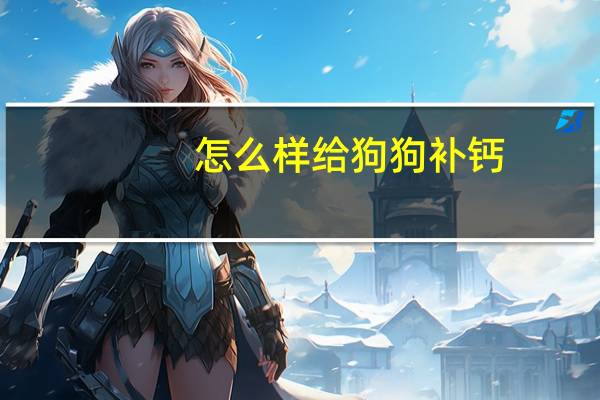 怎么样给狗狗补钙