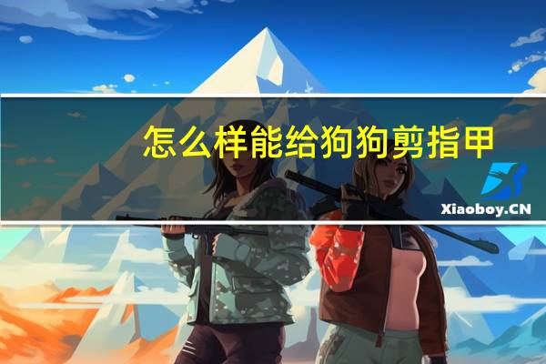 怎么样能给狗狗剪指甲
