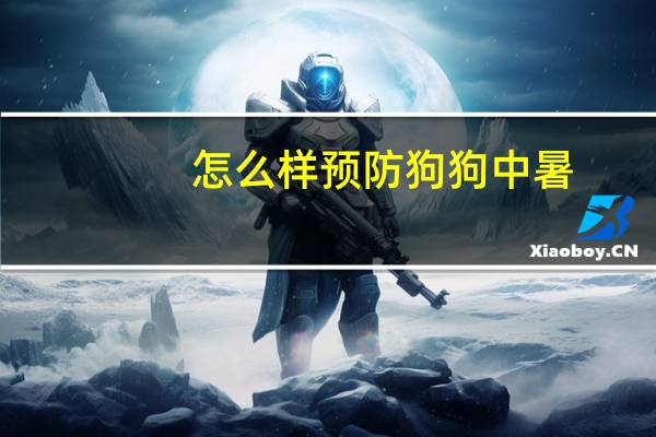 怎么样预防狗狗中暑