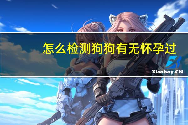 怎么检测狗狗有无怀孕过