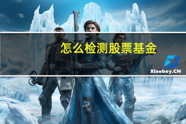 怎么检测股票基金