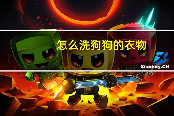怎么洗狗狗的衣物