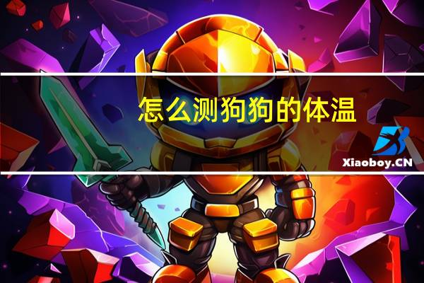 怎么测狗狗的体温