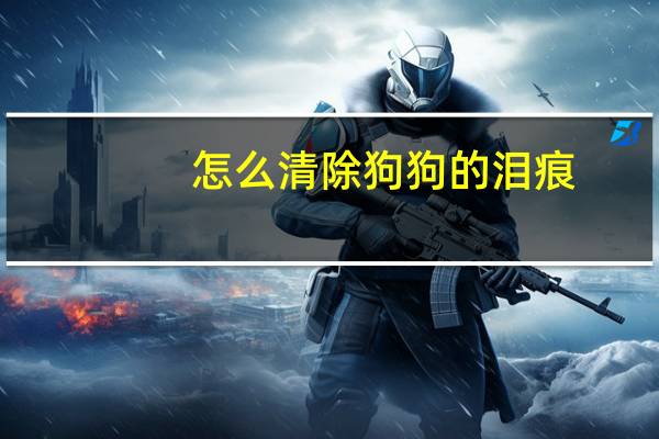 怎么清除狗狗的泪痕