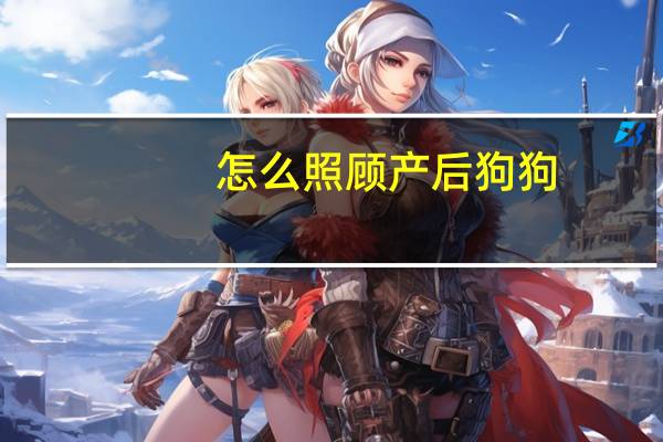 怎么照顾产后狗狗