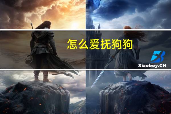 怎么爱抚狗狗