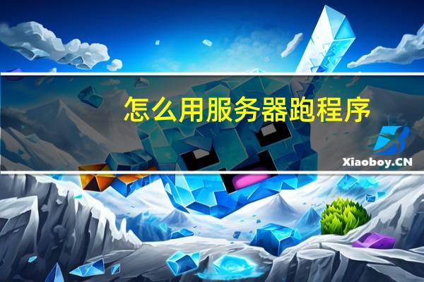 怎么用服务器跑程序