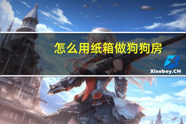 怎么用纸箱做狗狗房