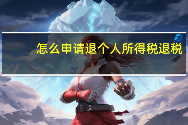 怎么申请退个人所得税退税