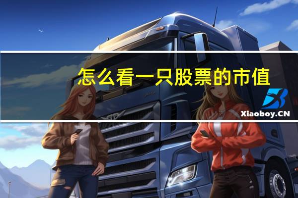 怎么看一只股票的市值