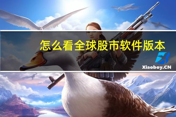 怎么看全球股市软件版本