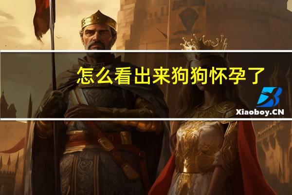 怎么看出来狗狗怀孕了