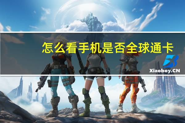 怎么看手机是否全球通卡
