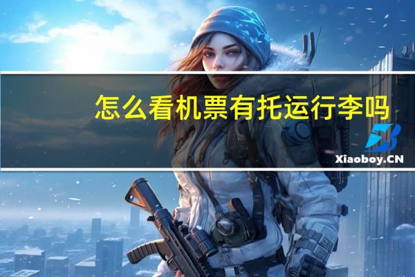 怎么看机票有托运行李吗