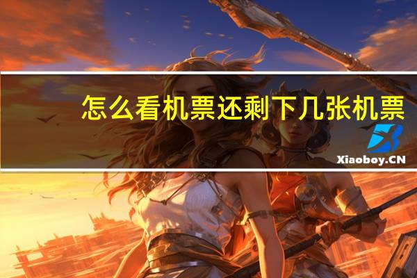 怎么看机票还剩下几张机票