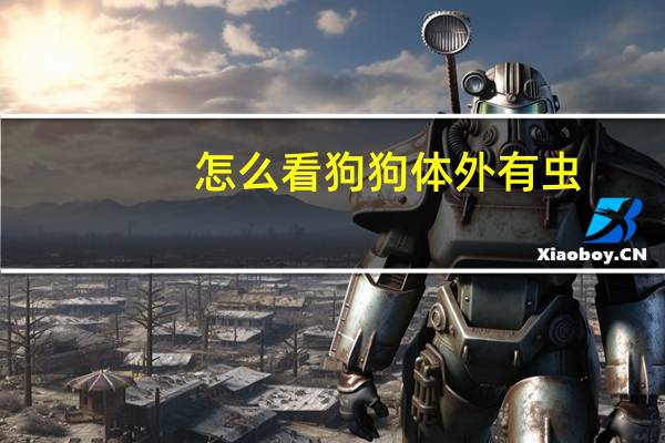 怎么看狗狗体外有虫