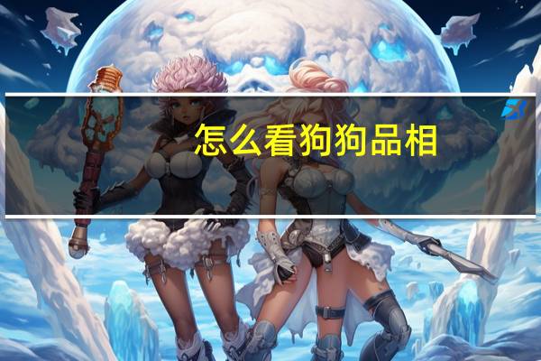 怎么看狗狗品相