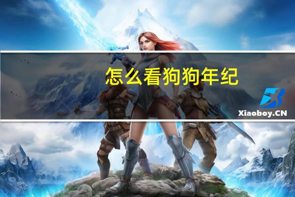 怎么看狗狗年纪
