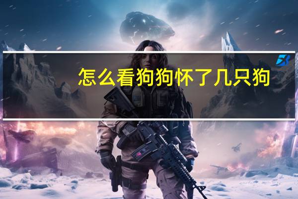 怎么看狗狗怀了几只狗