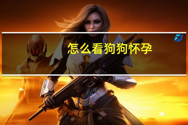 怎么看狗狗怀孕