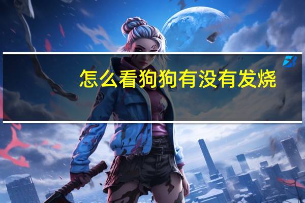 怎么看狗狗有没有发烧