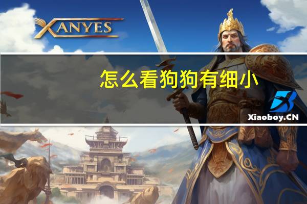 怎么看狗狗有细小