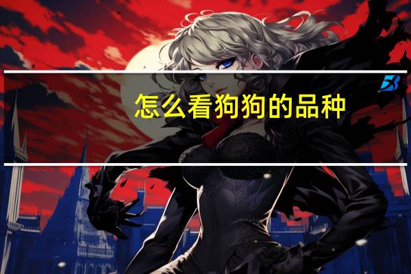 怎么看狗狗的品种