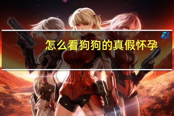 怎么看狗狗的真假怀孕