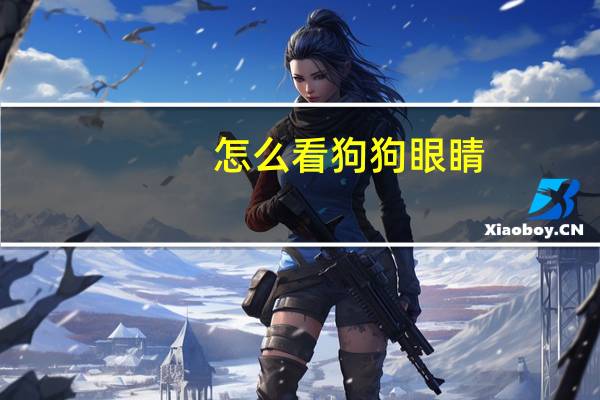 怎么看狗狗眼睛