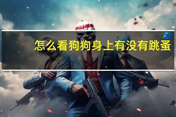 怎么看狗狗身上有没有跳蚤