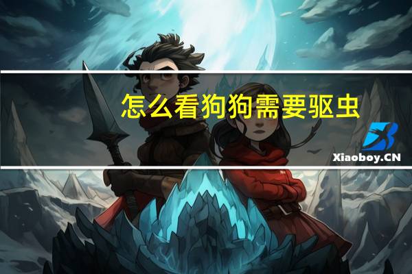 怎么看狗狗需要驱虫