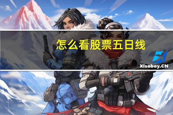 怎么看股票五日线