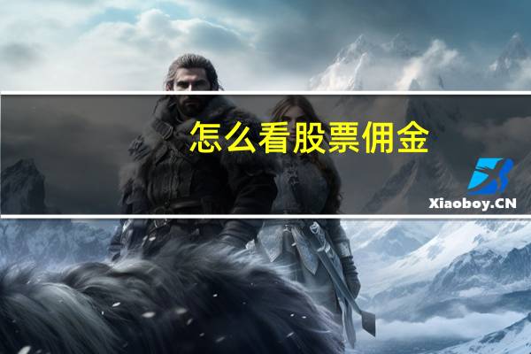 怎么看股票佣金