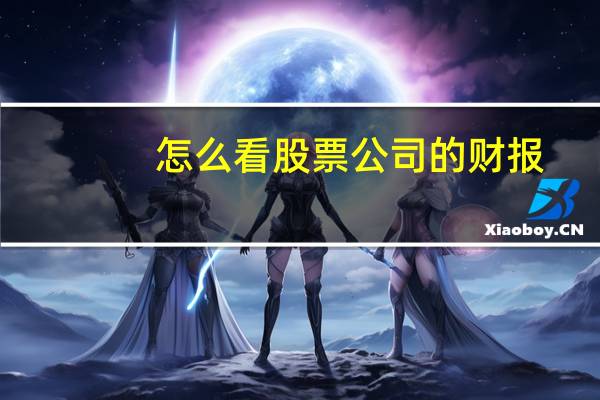 怎么看股票公司的财报