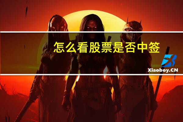 怎么看股票是否中签