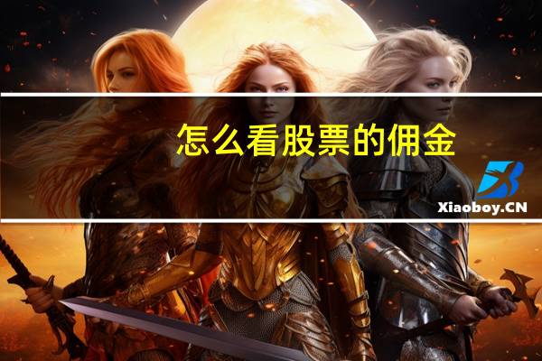 怎么看股票的佣金