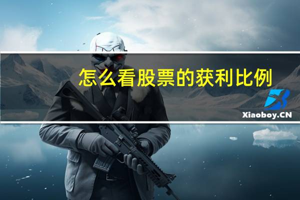 怎么看股票的获利比例