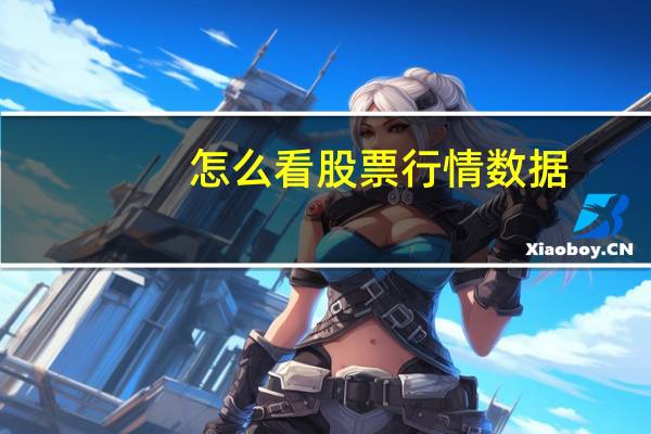 怎么看股票行情数据