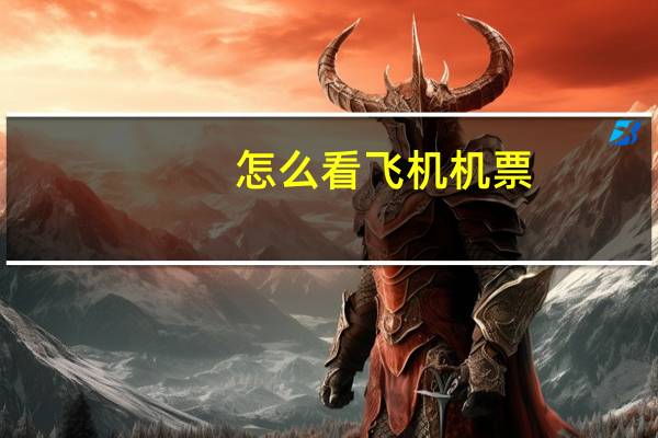 怎么看飞机机票