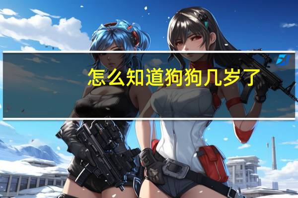 怎么知道狗狗几岁了