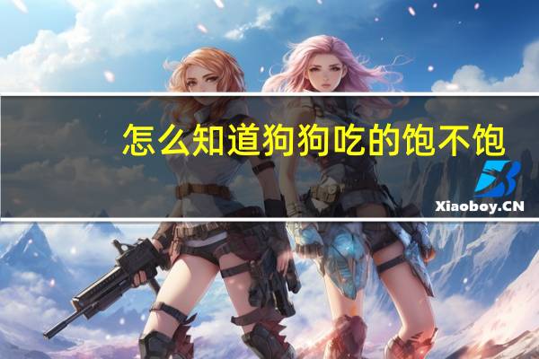 怎么知道狗狗吃的饱不饱