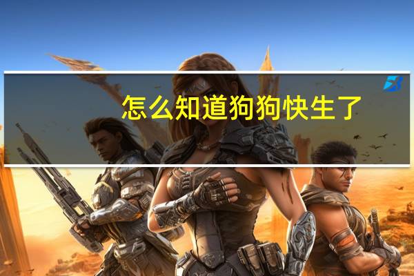 怎么知道狗狗快生了
