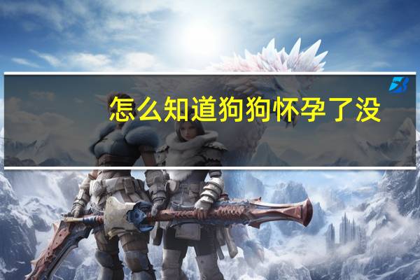 怎么知道狗狗怀孕了没