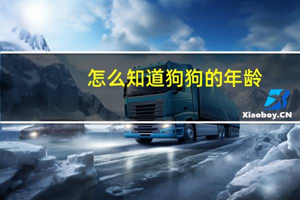怎么知道狗狗的年龄