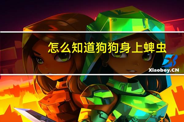 怎么知道狗狗身上蜱虫