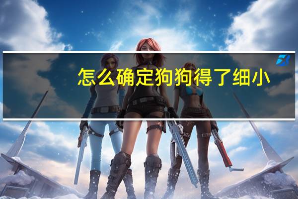 怎么确定狗狗得了细小