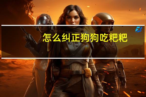 怎么纠正狗狗吃粑粑