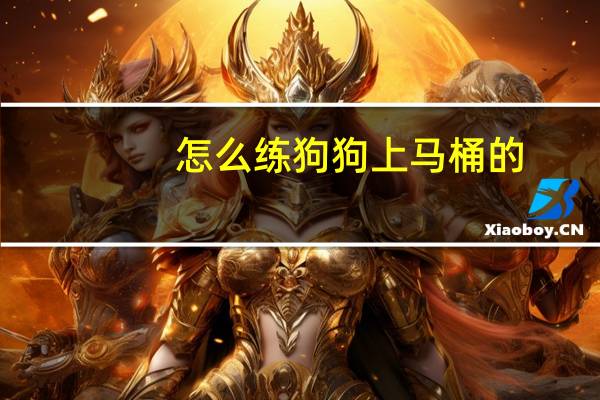怎么练狗狗上马桶的