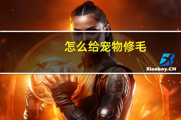 怎么给宠物修毛