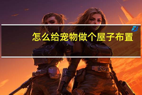 怎么给宠物做个屋子布置